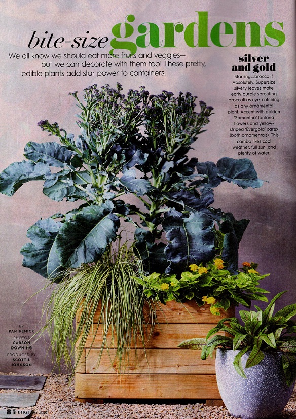 Look for my article, Bite-Size Gardens, in Better Homes & Gardens