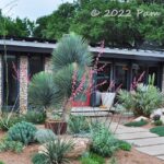 Coleson Bruce's crevice garden in spring flower