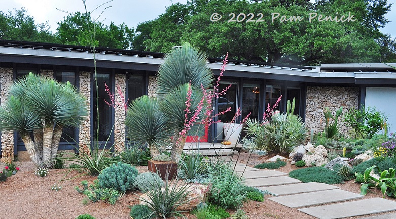 Coleson Bruce's crevice garden in spring flower