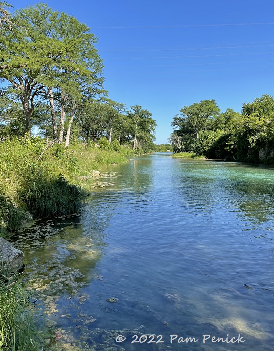 Texas Water Safari race on the San Marcos River - Digging