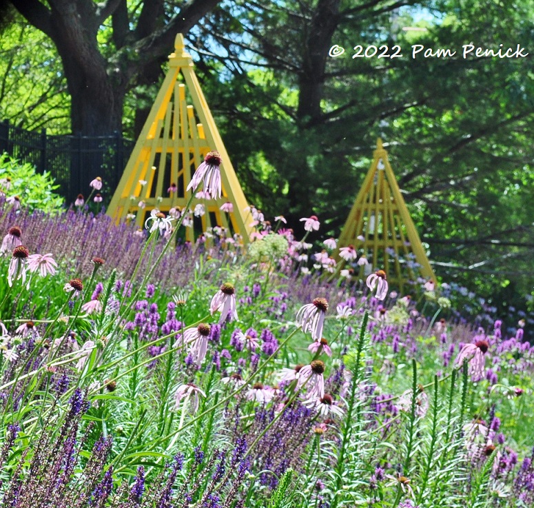 In the moment at Rotary Botanical Gardens