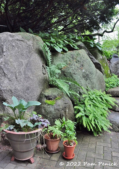 03 Boulders Potted plants – TodayHeadline