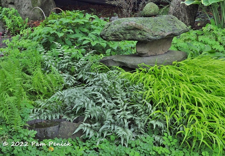 09 Ferns Japanese forest grass Stacked stones – TodayHeadline