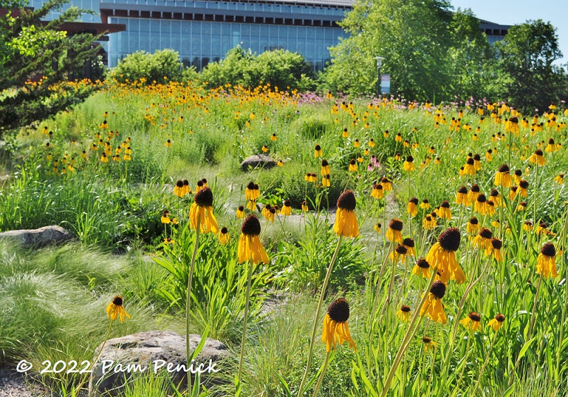 epic campus virtual tour