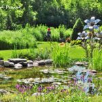 Native prairie garden replaces half the lawn in the Grosz Garden