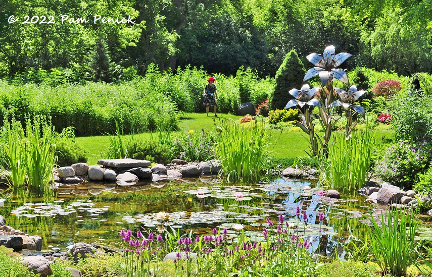 Native prairie garden replaces half the lawn in the Grosz Garden