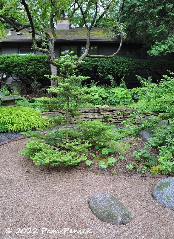 13 Raked gravel garden Conifer – TodayHeadline