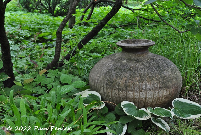 18 Round pot Shade garden – TodayHeadline
