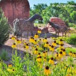 Green-roof prairie and fantasy gardens at Epic Systems, Part 2