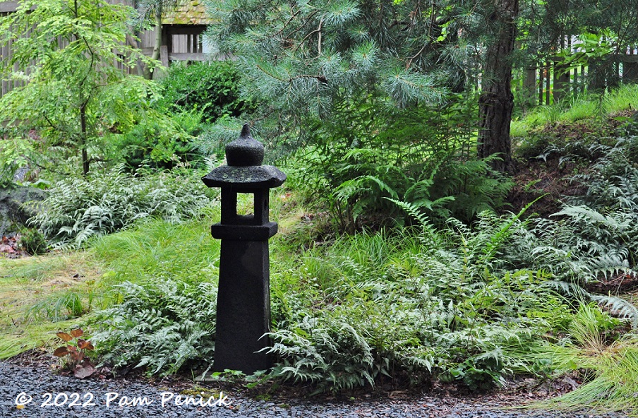 72 Stone lantern ferns – TodayHeadline
