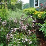 Cindy Fillingame's glowing, rainy-day garden