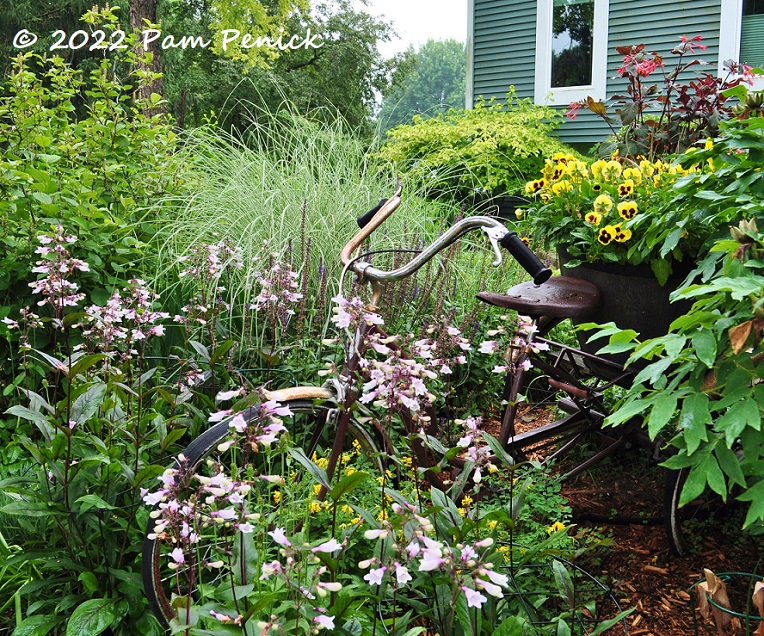 Cindy Fillingame's glowing, rainy-day garden