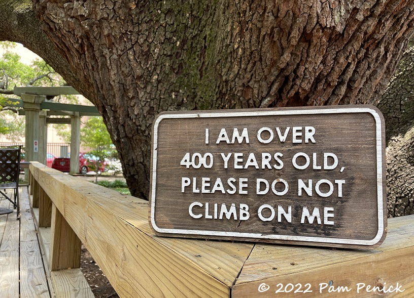 03 Dont climb on me sign – TodayHeadline