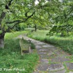 Snapshots from Olbrich Botanical Gardens' meadow, event, and herb gardens