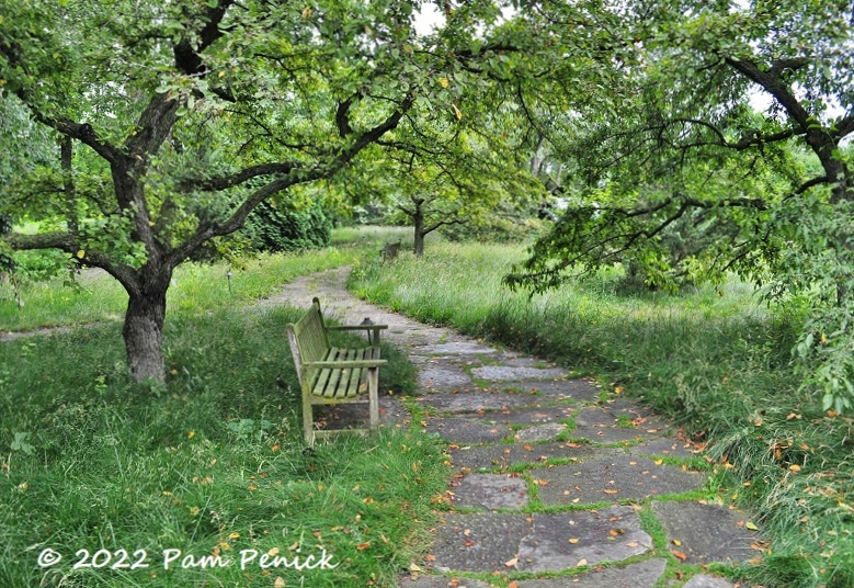 Snapshots from Olbrich Botanical Gardens' meadow, event, and herb gardens