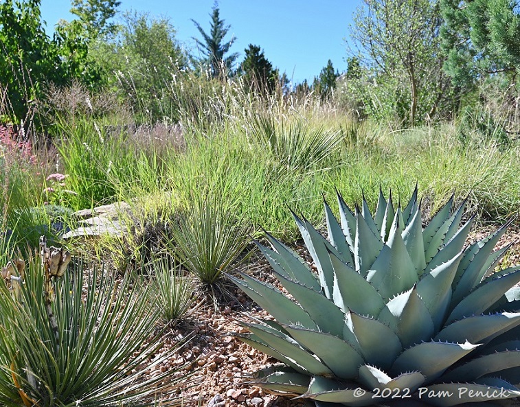 Beautiful flora and fauna at Santa Fe Botanical Garden