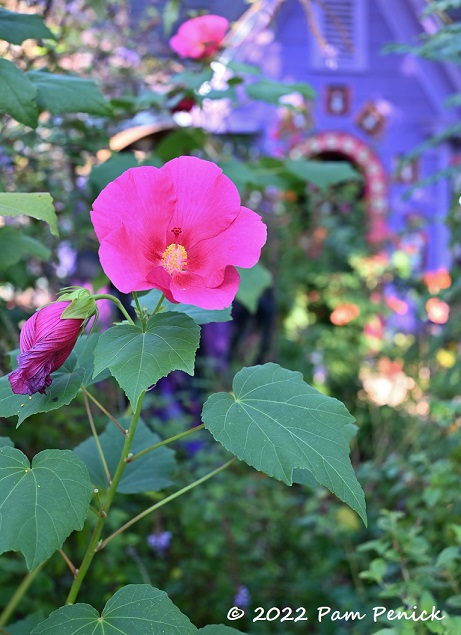 Day of the Dead in Lucinda's colorful garden