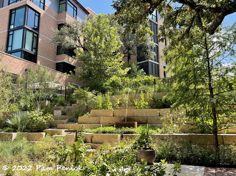 Hotel Magdalena courtyard evokes Hill Country canyon