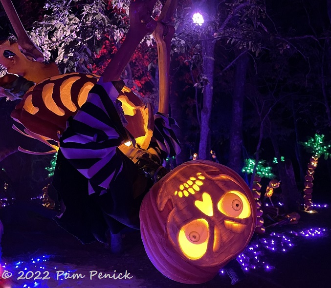 Pumpkin Nights trail serves up spooky Halloween fun