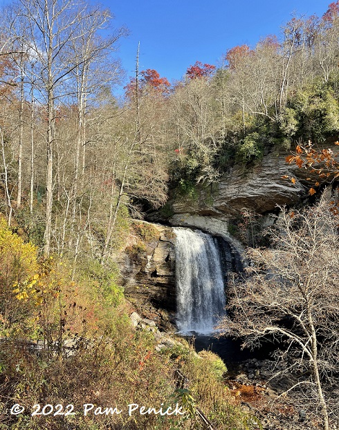 Fall foliage, falls, and food in and around Asheville