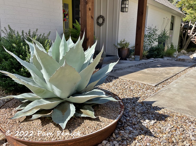 Spotlight around the garden