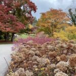 Autumn gardens and biking at Biltmore House