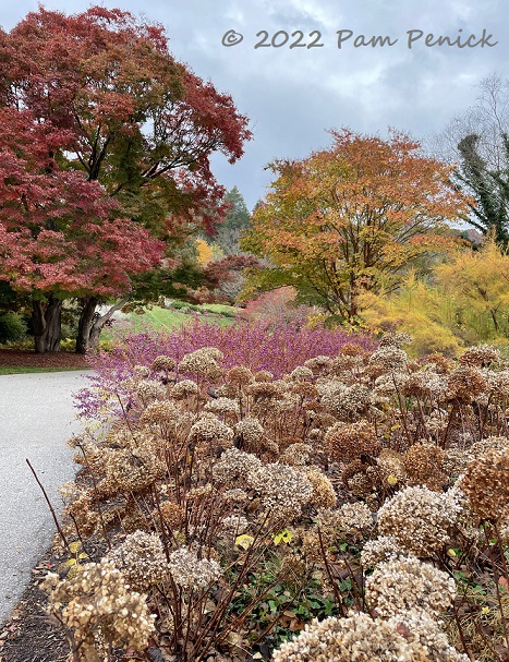 Autumn gardens and biking at Biltmore House