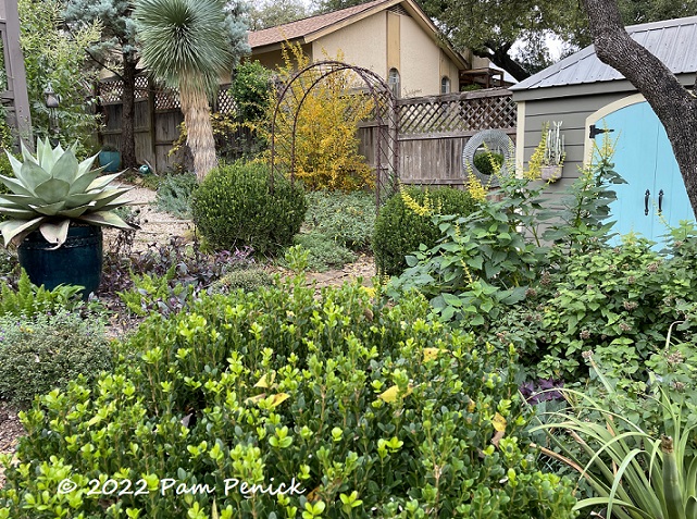 Enjoying fall color and a mellow garden