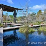 Pond of the Blue Moon and bird- and gator-watching at Shangri La Botanical Gardens