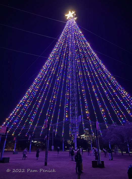 Zilker Tree spin on Christmas Eve