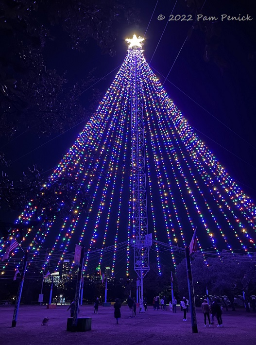 Zilker Tree spin on Christmas Eve