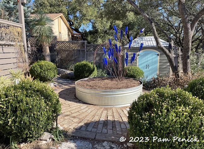 Stock tank returns to the Circle Garden  as a planter!