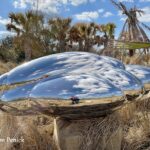 Organic sculptures by Steve Tobin at Houston Botanic Garden