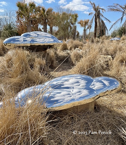 Organic sculptures by Steve Tobin at Houston Botanic Garden