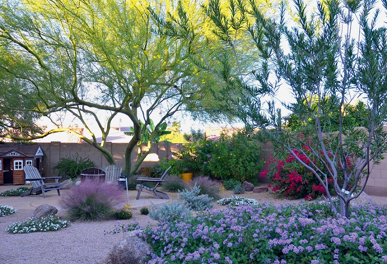 Read This: Dry Climate Gardening