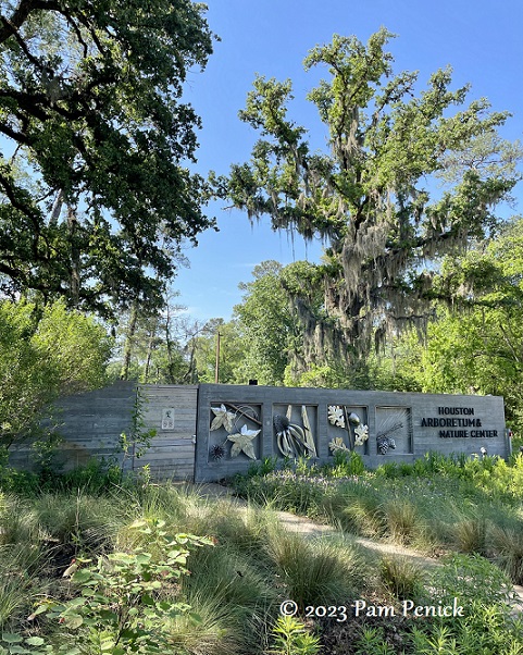 Pond critters at Houston Arboretum