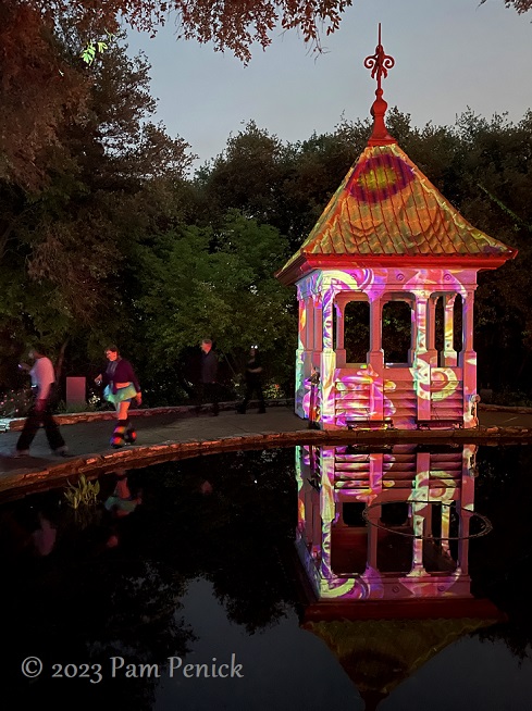 10 Gazebo lit up Zilker Backyard lights up with neon, costumes for Surreal Backyard
