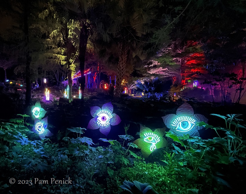 21 Flowers w eyes neon sculptures Zilker Backyard lights up with neon, costumes for Surreal Backyard