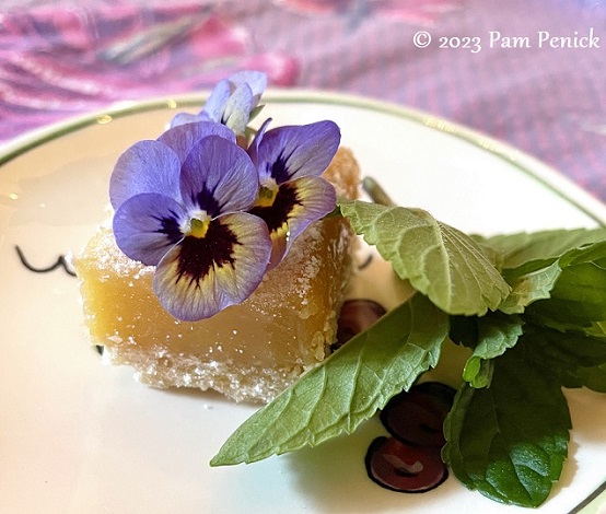 Lemon bar w pansy garnish 1 Backyard get together at Lucinda's purple casita