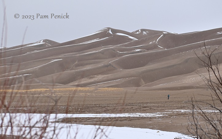 Kicking off our western national parks tour at Great Sand Dunes