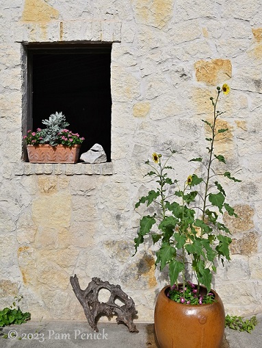 Old San Antonio style in Melody's garden