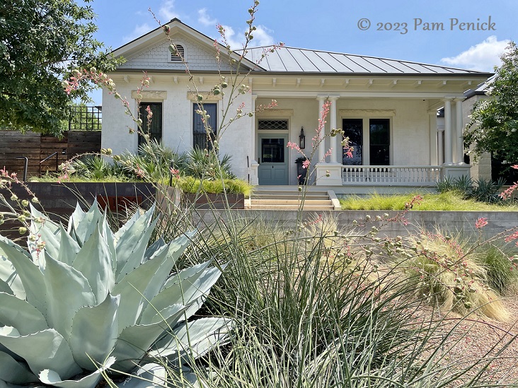 Drive-By Gardens: Waterwise front yard on Castle Hill