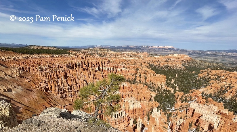 Hoodoo wonderland at Bryce Canyon National Park