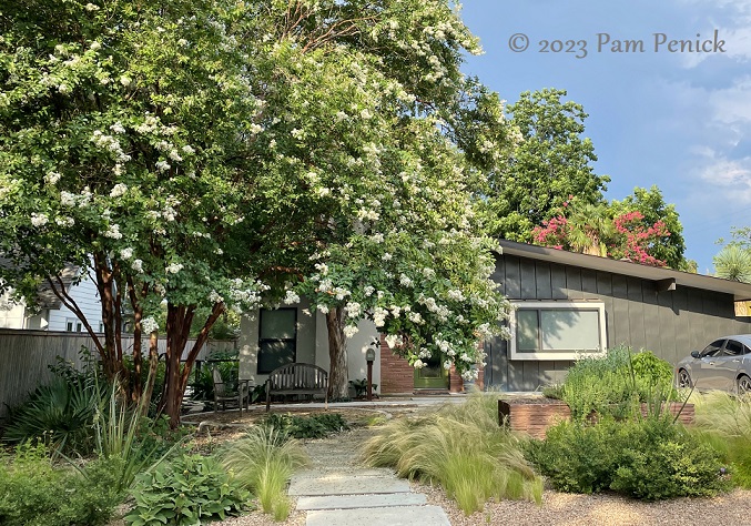 Drive-By Garden: Waterwise front yard and patio