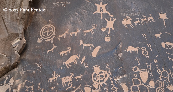 Newspaper Rock petroglyphs: Mystery messages from the past