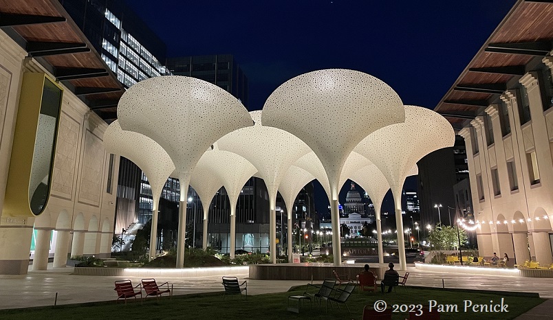 Evening under the Petals at Blanton Museum