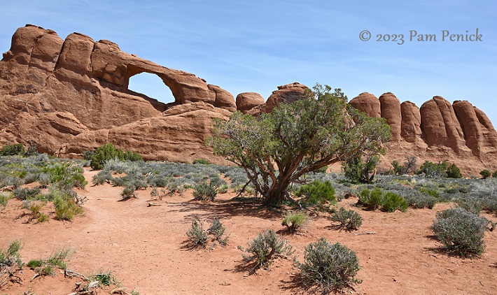 Windows to the sky at Arches National Park