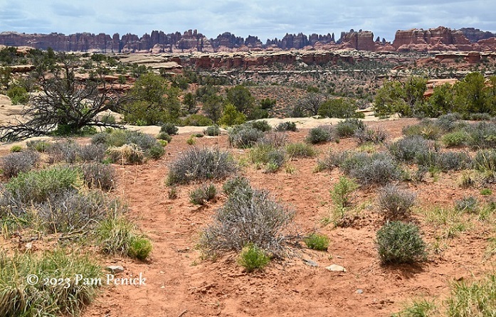 Hiking and off-roading at the Needles in Canyonlands