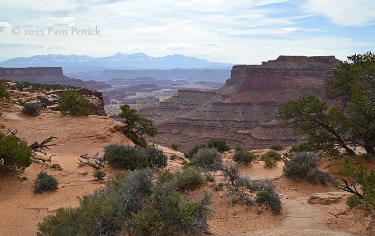 Canyonlands: Purple canyons and cliff-clinging Shafer Trail