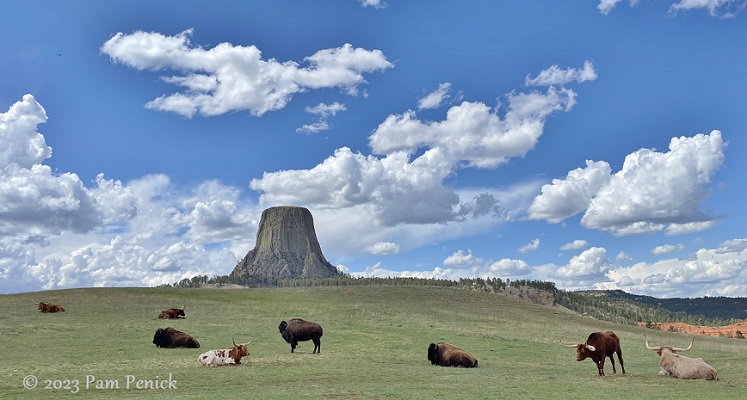 Wyoming Devils Tower National Monument approaching thunderstorm